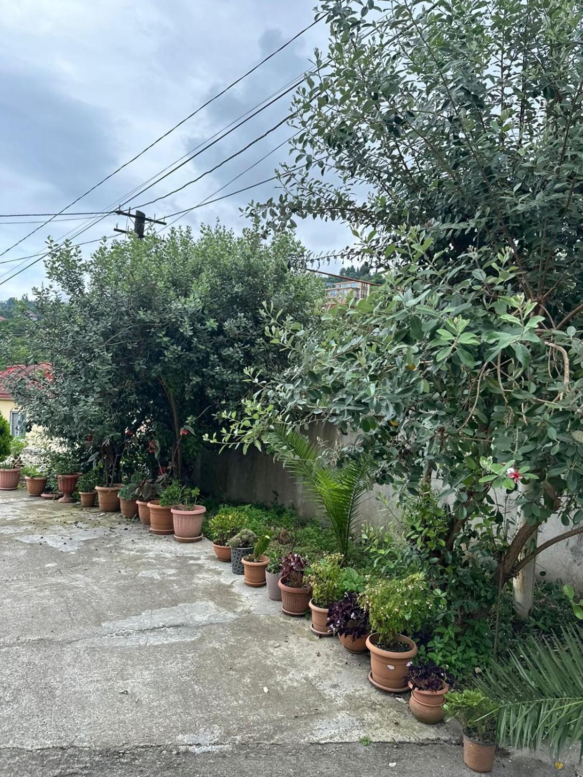 Affittacamere Shamil House Makhinjauri Esterno foto
