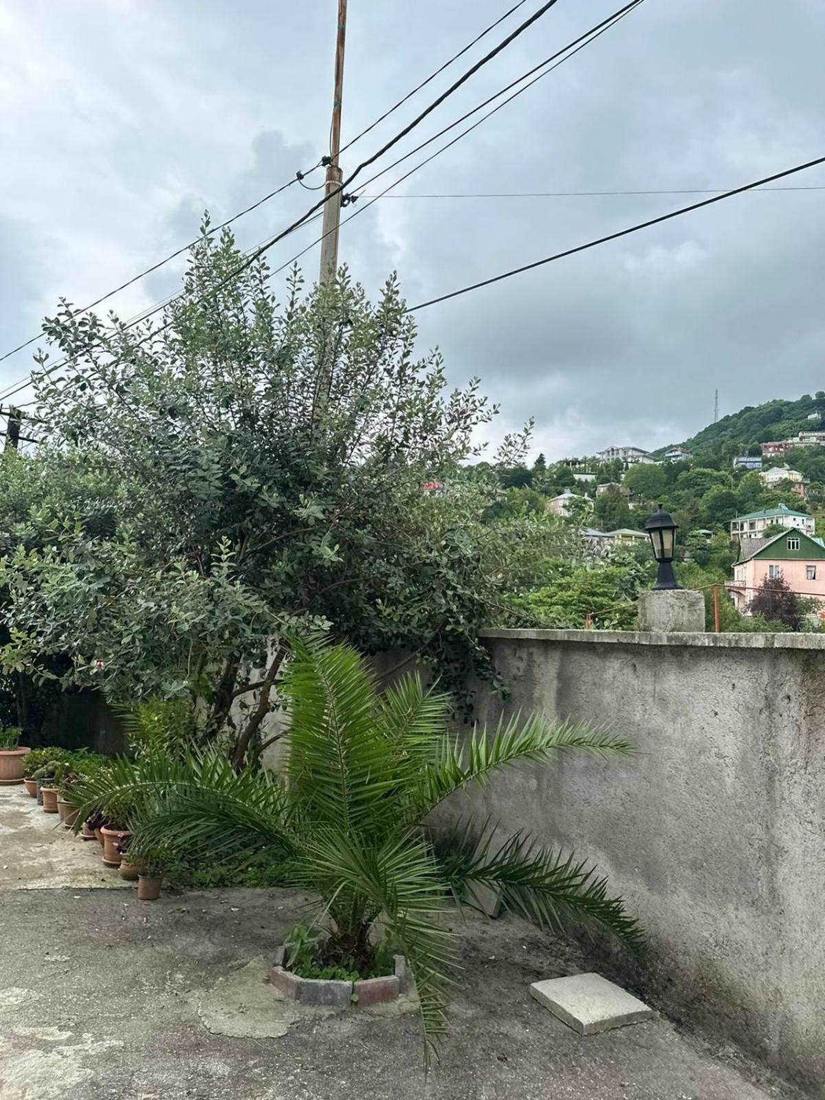 Affittacamere Shamil House Makhinjauri Esterno foto