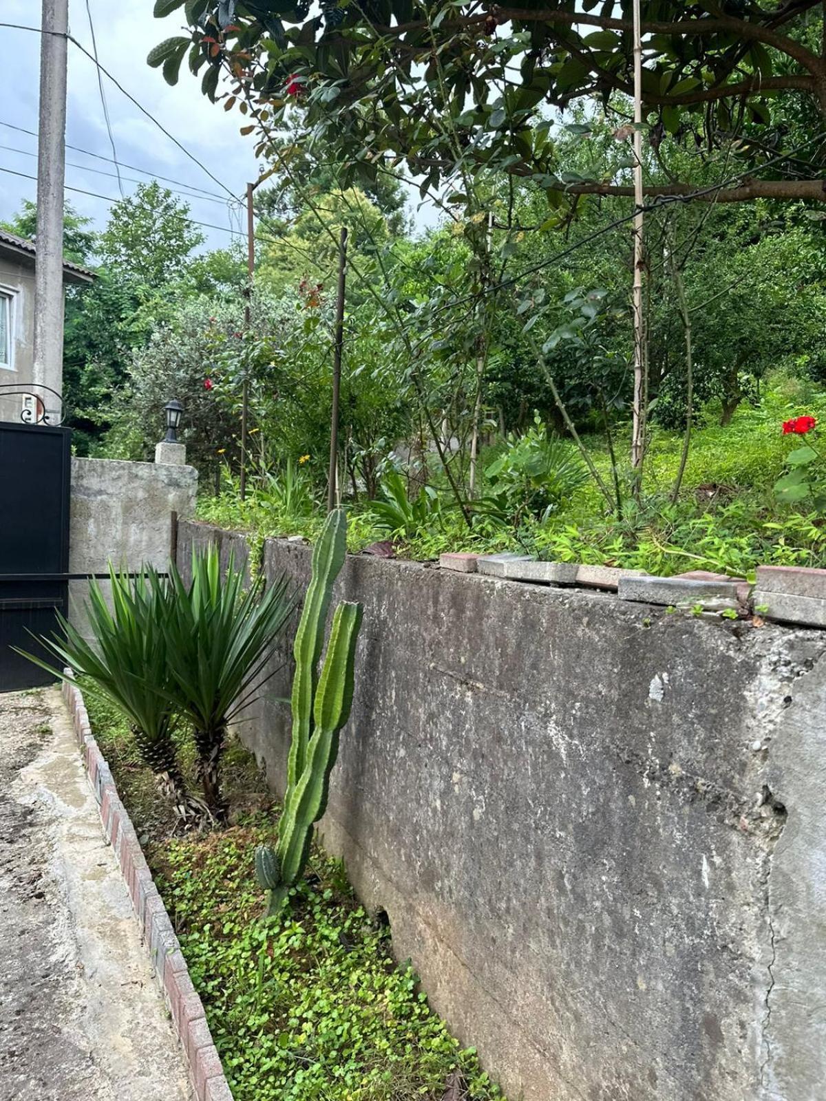 Affittacamere Shamil House Makhinjauri Esterno foto