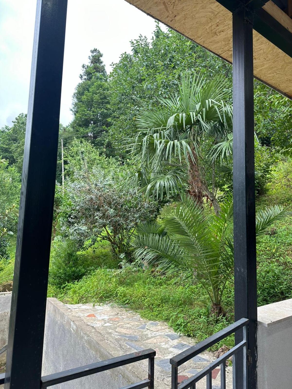 Affittacamere Shamil House Makhinjauri Esterno foto